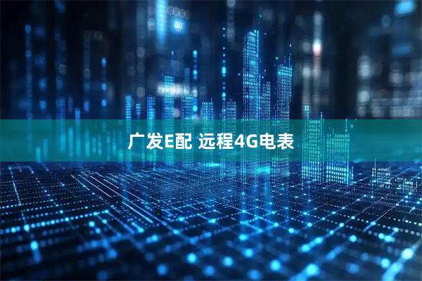 广发E配 远程4G电表