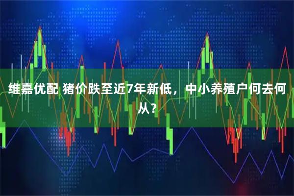 维嘉优配 猪价跌至近7年新低，中小养殖户何去何从？